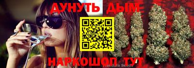 каннабис Будённовск