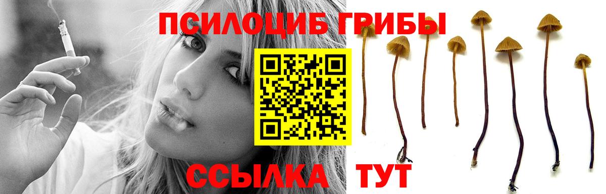 Псилоцибиновые грибы GOLDEN TEACHER Чехов